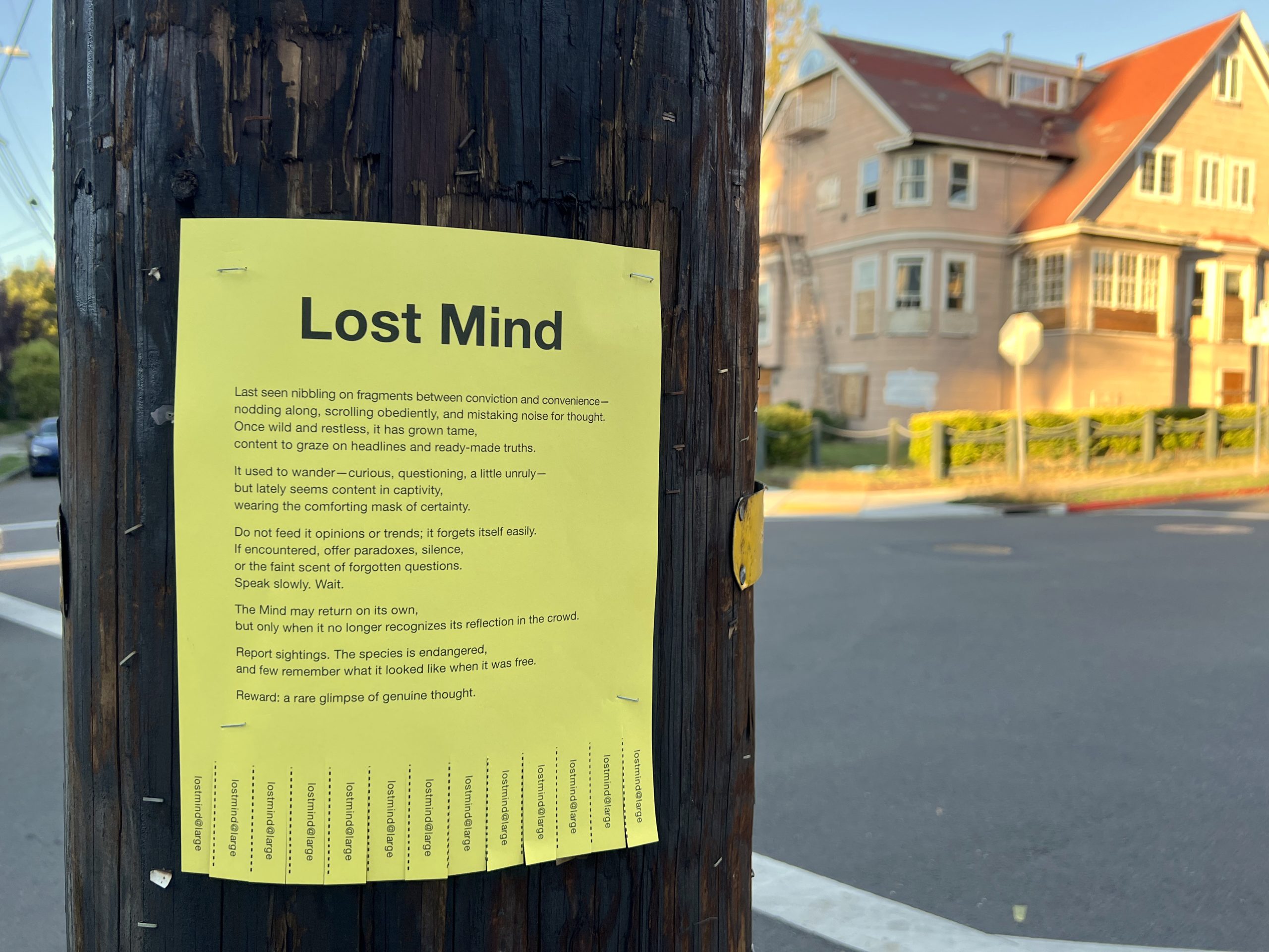 lostmind Lost Mind — visual reflection on fragmentation and thought